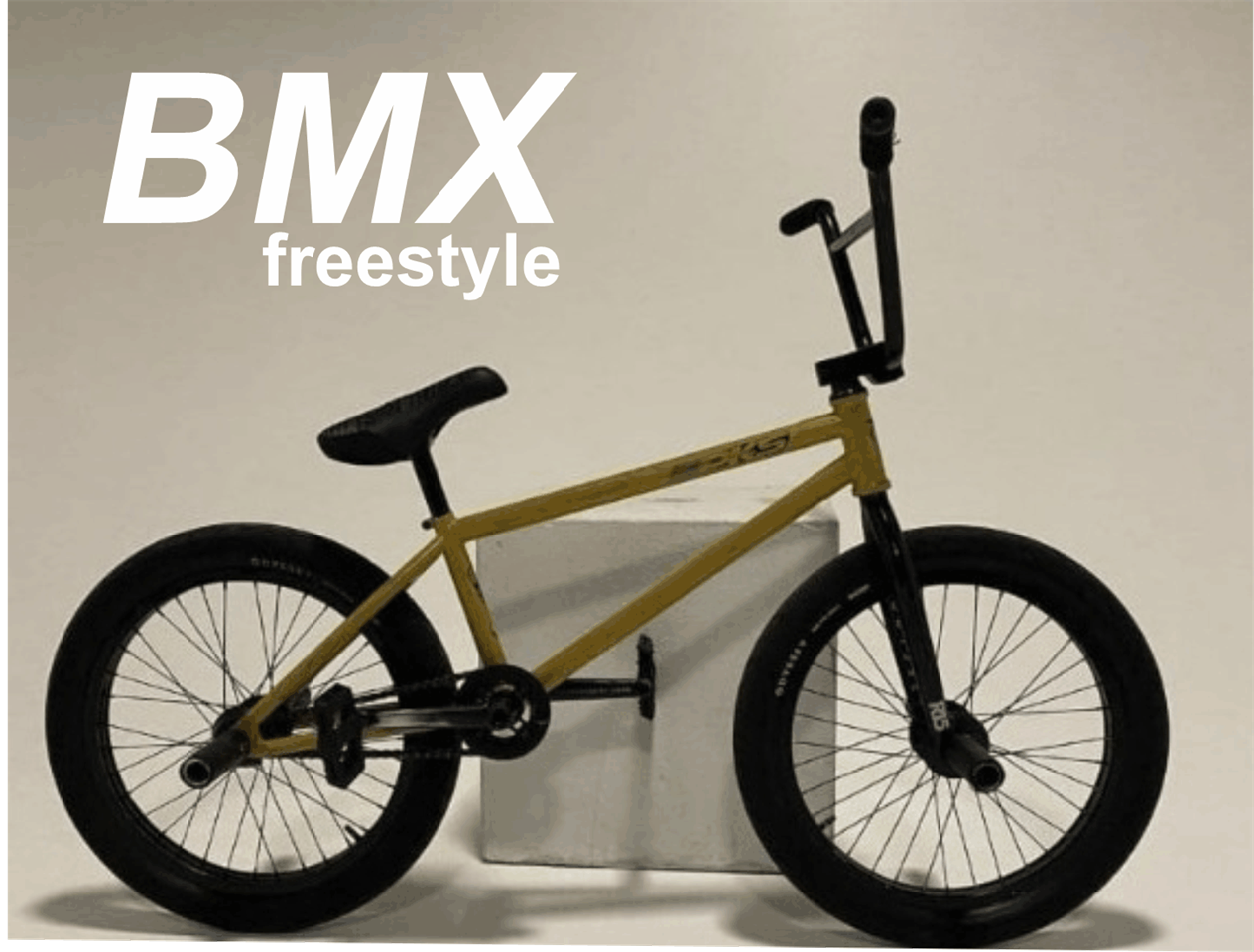 純正超高品質』 bmxストリート/フラット フルクロモリ フリースタイル